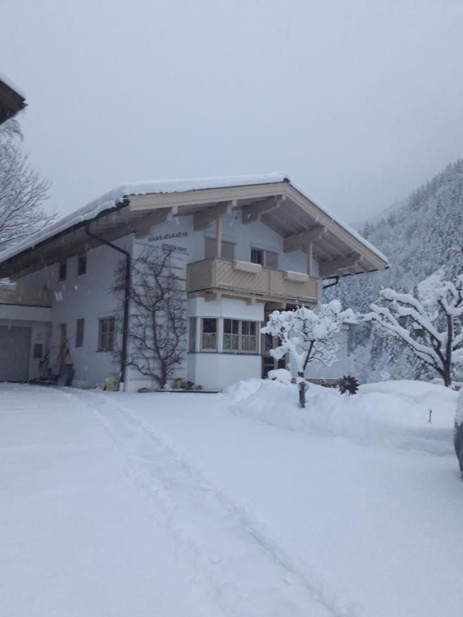 Haus-Claudia Apartment Viehhofen Exterior photo